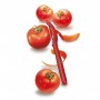 Victorinox 7.6075.1 Нож для чистки томатов и других овощей