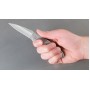 Нож KERSHAW 1660 Leek