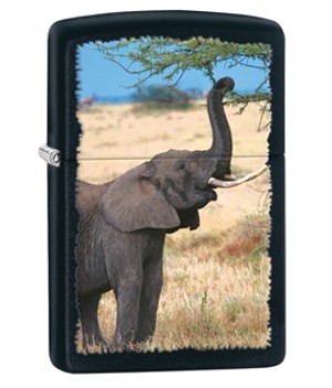 Zippo 28666 Elephant 